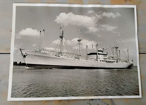 oude foto van M.S. Zaanland - Koninklijke Hollandsche Lloyd - motorschip - 0