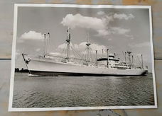 oude foto van M.S. Zaanland - Koninklijke Hollandsche Lloyd - motorschip