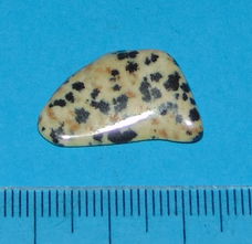 Dalmatiner Jaspis - steen AW
