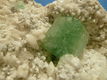 Groene apofylliet en stilbiet. - 1 - Thumbnail