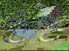 Spirit Cargo Transporter + Mand| Meisjesfiets | FM47 | V3