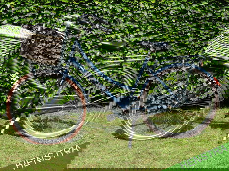 Spirit Cargo Transporter + Mand| Meisjesfiets | FM47 | V3 - 1