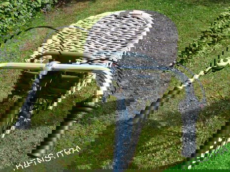 Spirit Cargo Transporter + Mand| Meisjesfiets | FM47 | V3 - 4