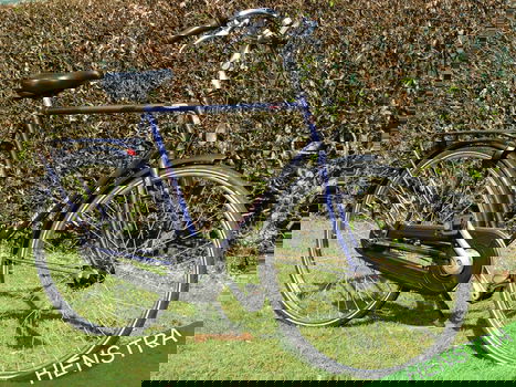 Pointer Arena | FM61 | 3V | kroegfiets | Herenfiets - 2