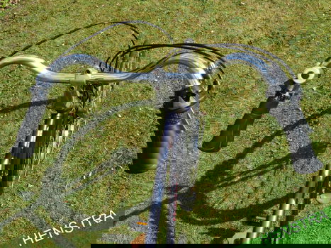Pointer Arena | FM61 | 3V | kroegfiets | Herenfiets - 3