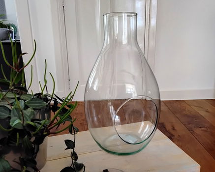 Glazen vaas voor terrarium - glas - ook leuk voor decoupage - 0