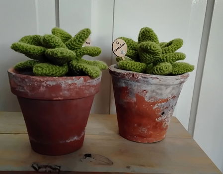 Succulenten in pot - gehaakt - erg apart - 0