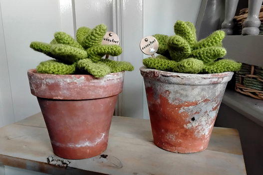Succulenten in pot - gehaakt - erg apart - 1
