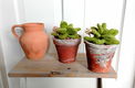 Succulenten in pot - gehaakt - erg apart - 2 - Thumbnail