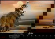 Hot Toys MMS722 Star Wars: IV A New Hope Sandtrooper Sergeant and Dewback Set - 0 - Thumbnail