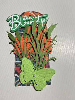🌸 Brievenbuskadootje met bloemzaadjes – een bloemetje per post! 🌸 - 0