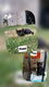 Lieve kittens - 2 - Thumbnail
