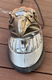 Fender large eagle van DRAG SPECIALTIES: 72923-SC3, chroom/goud, met oplichtende ogen. - 3 - Thumbnail