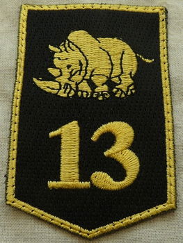 Embleem, Mouw, DT2000, 13 Gemechaniseerde Brigade, KL, vanaf 2000.(Nr.8) - 0
