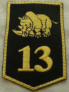 Embleem, Mouw, DT2000, 13 Gemechaniseerde Brigade, KL, vanaf 2000.(Nr.8)