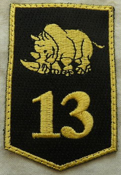 Embleem, Mouw, DT2000, 13 Gemechaniseerde Brigade, KL, vanaf 2000.(Nr.8) - 1