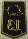 Embleem, Mouw, DT2000, 13 Gemechaniseerde Brigade, KL, vanaf 2000.(Nr.8) - 2 - Thumbnail