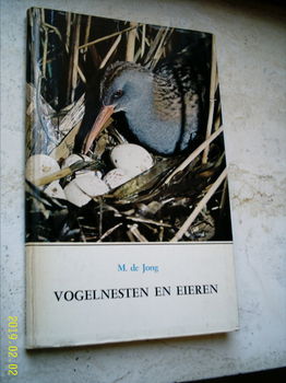Vogelnesten en eieren. - 0