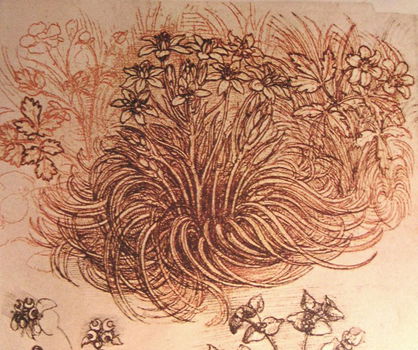 Ster van Bethlehem - Leonardo Da Vinci - 0