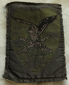 Embleem, Mouw, GVT, 11 Luchtmobiele Brigade AASLT (11 LMB), Koninklijke Landmacht, jaren'90.(Nr.1) - 0