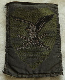 Embleem, Mouw, GVT, 11 Luchtmobiele Brigade AASLT (11 LMB), Koninklijke Landmacht, jaren'90.(Nr.1)