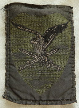 Embleem, Mouw, GVT, 11 Luchtmobiele Brigade AASLT (11 LMB), Koninklijke Landmacht, jaren'90.(Nr.1) - 1