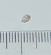 Roze Diamant - Zuid-Afrika - steen F - 0 - Thumbnail