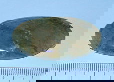 Labradoriet cabochon CBB - 49x28mm