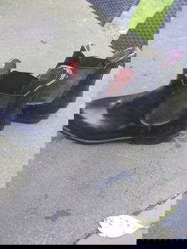 paardrijkleding - 0