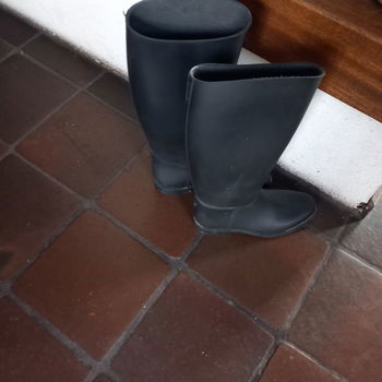 paardrijkleding - 2
