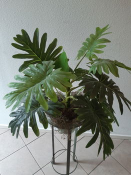 Kunstplant in glazen pul op standaard - 0
