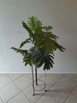 Kunstplant in glazen pul op standaard - 1