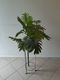 Kunstplant in glazen pul op standaard - 1 - Thumbnail