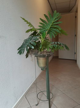 Kunstplant in glazen pul op standaard - 2