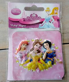 Reliëfmagneet van Disney Princess - nieuw