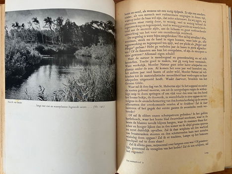 Een weitasch vol - J. Craandijk - 4