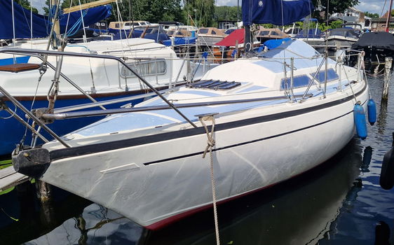 Te Koop Charmant zeiljachtje voor heel weinig - 0