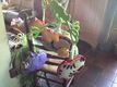 Fisher Price - muziekmobile - 0 - Thumbnail