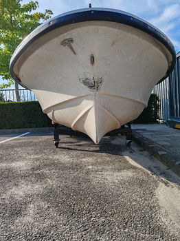 Gratis visbootje - 3