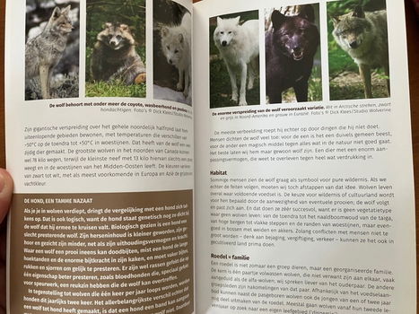 De wolf terug - Eng of enerverend? - Dick Klees - 3