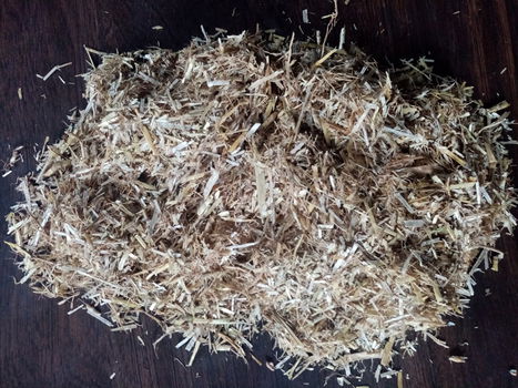 Tekoop vele soorten strooisels voor uw paard(en) houtkrullen, zaagsel vlas, koolzaadstro, tarwestro - 1