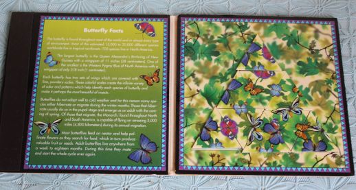 Travel Triazzle - vlinders - 1