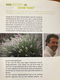 De groene tuin - Jurgen Smit - 3 - Thumbnail