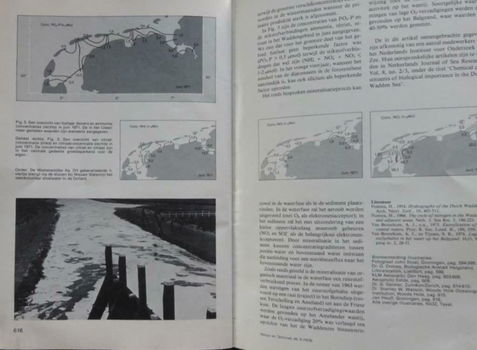 De Waddenzee - Voedingsstoffen en algengroei - 2