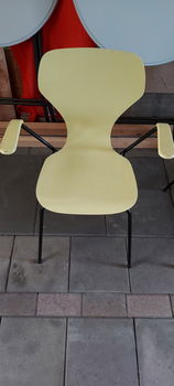 Vlinderstoelen - 2