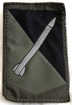 Embleem, Mouw, GVT, Defensie Grondgebonden Luchtverdedigingscommando (DGLC), KL, vanaf 2012.(Nr.2) - 0