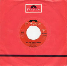 Sandy Coast : True love that's a wonder (1971)