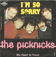 The Picknicks – I'm So Sorry (1982)