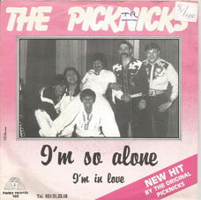 The Picknicks – I'm So Alone (1981)