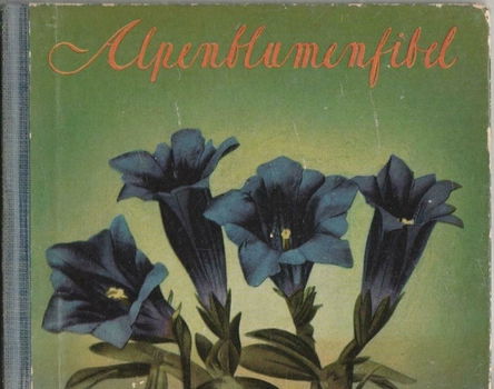Alpenblumenfibel - Dr. Walter Amstut(1953) - 0
